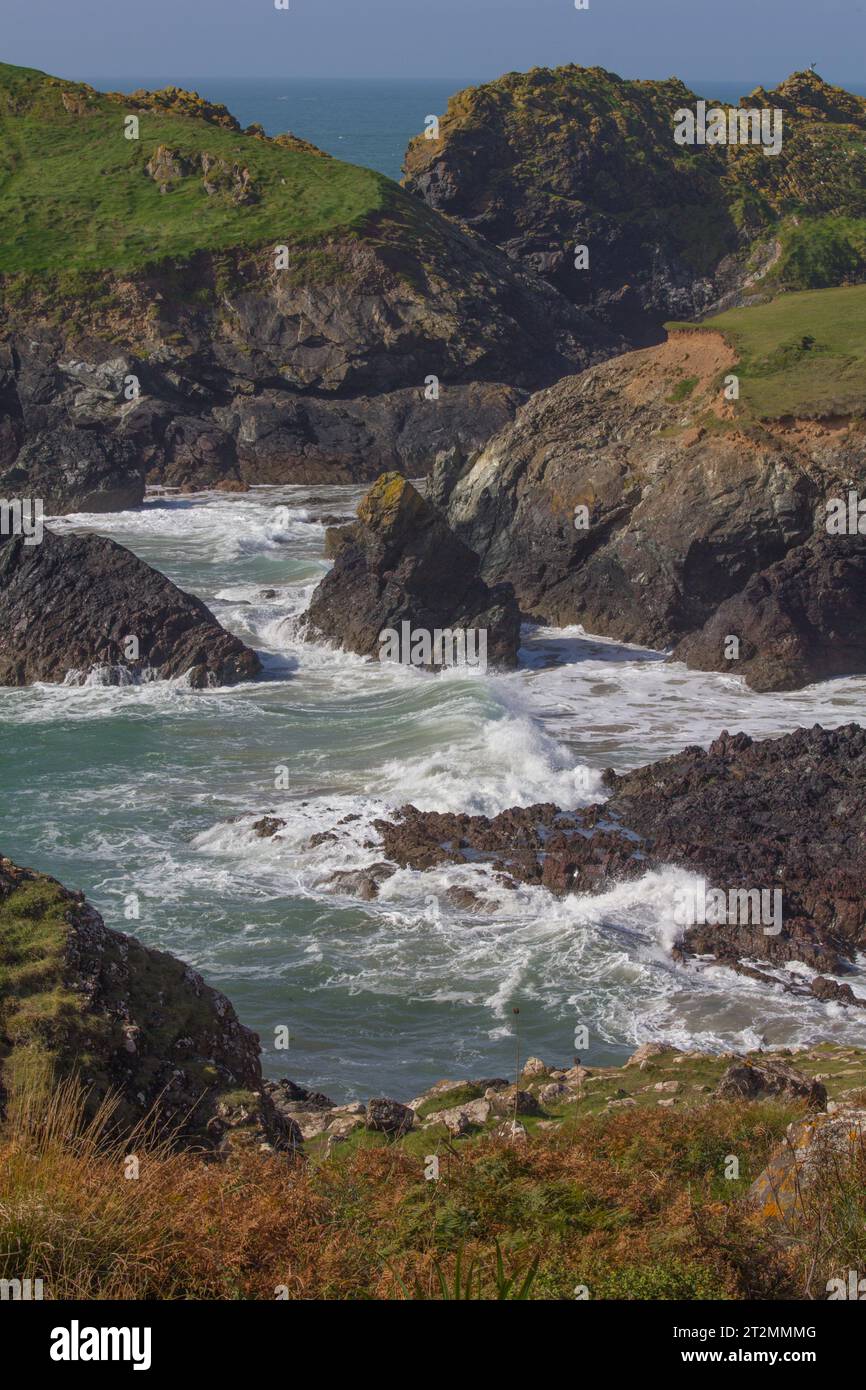 Kynance Cove sulla penisola di Lizard durante un'alta marea autunnale. Spiagge sabbiose ora coperte da onde. Un contendente per la migliore spiaggia del Regno Unito. Foto Stock