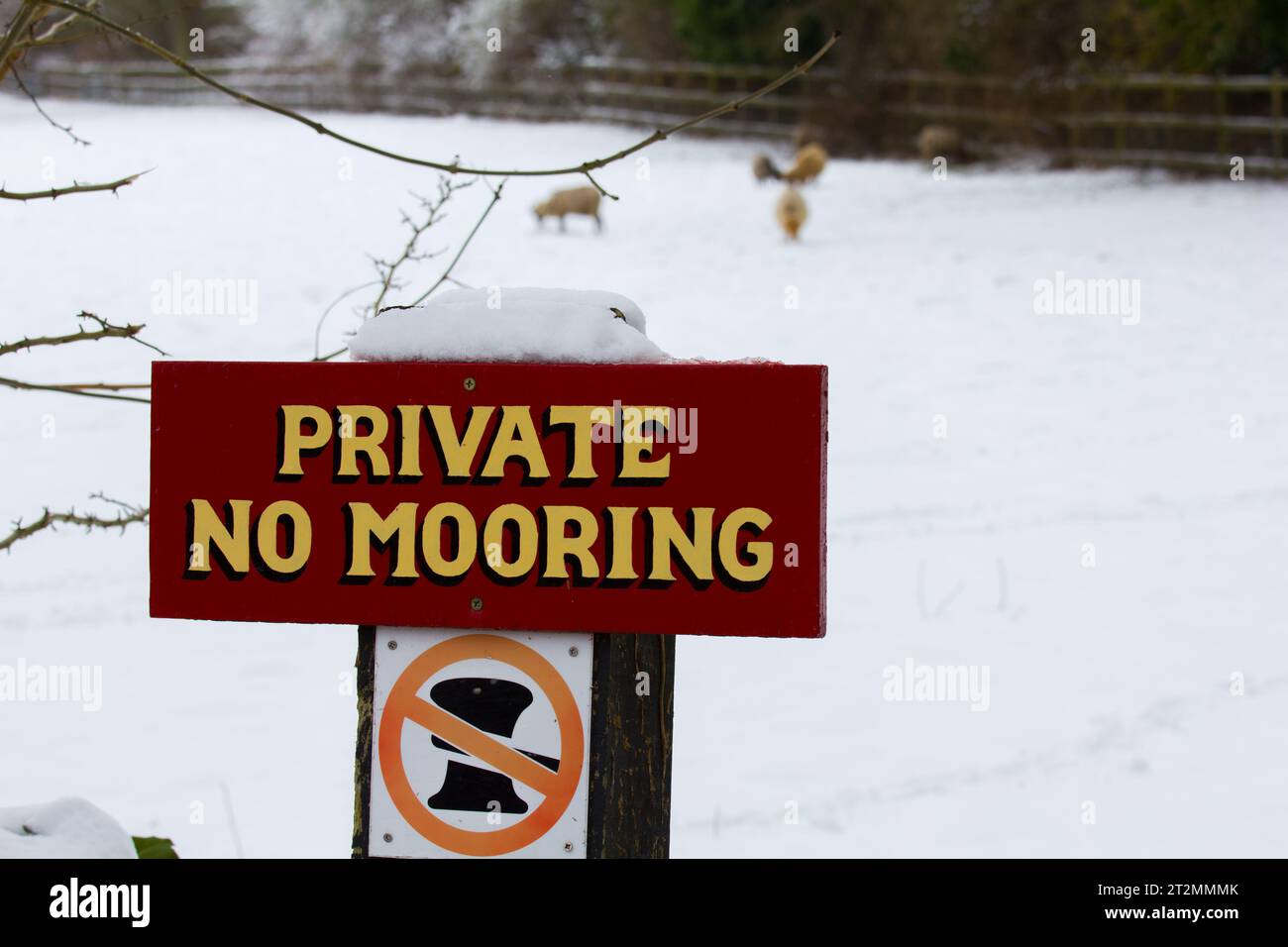 Attracco privato sul lato del canale di Aldermaston Wharf sul canale Kennet e Avon nel Berkshire. Foto Stock