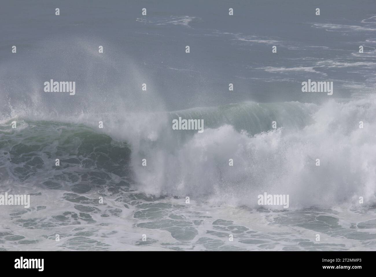 Onde infranti e spruzzi spazzati dal vento. Poldhu Beach, Poldhu Cove, Cornovaglia. Una baia popolare per surfisti e principianti. Conosciuto anche come Black Cove (Poldhu). Foto Stock