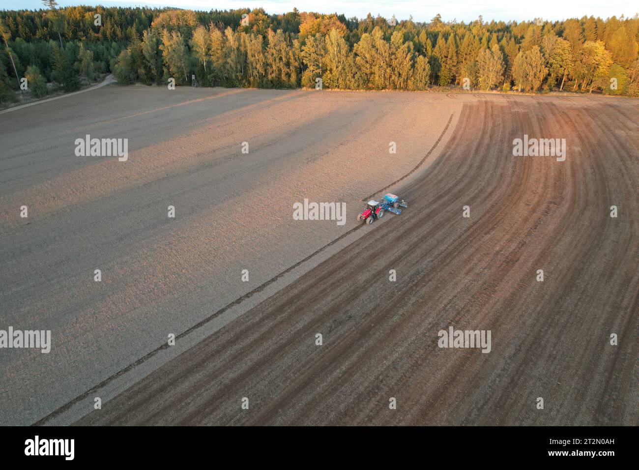 Agricoltore con trattore semina-semina colture in campo agricolo. Piante, frumento.allentamento del suolo in un campo con colture agricole, colpo aereo. La trac Foto Stock