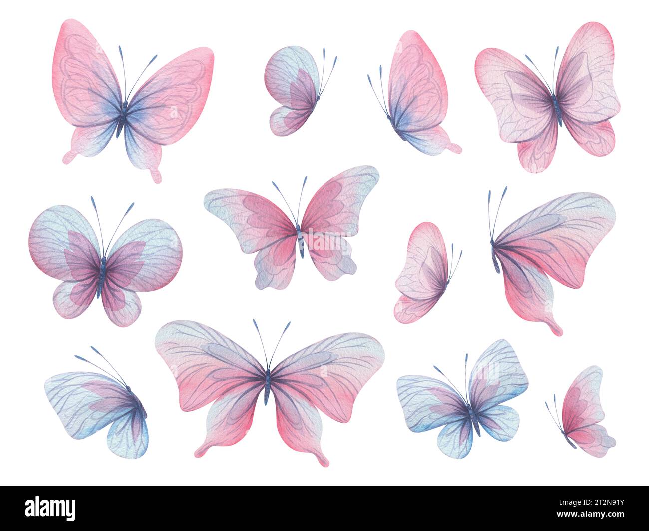 Le farfalle sono rosa, blu, lilla, volanti, delicate con ali e spruzzi di vernice. Illustrazione ad acquerello disegnata a mano. Set di elementi isolati attivato Foto Stock