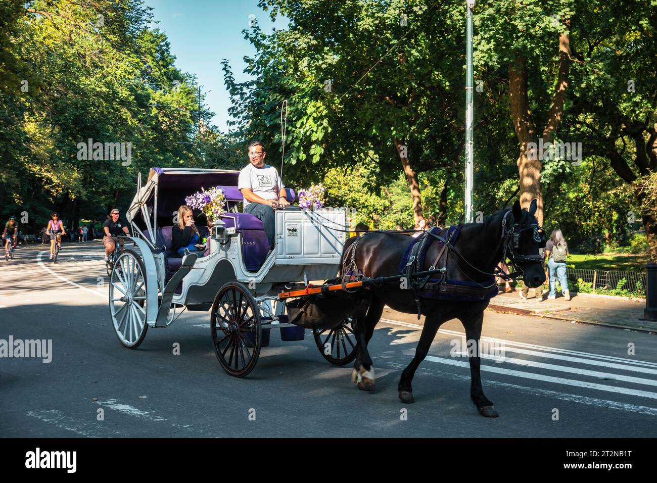 La gente fa un giro in carrozza a cavallo a Central Park, New York. Foto Stock