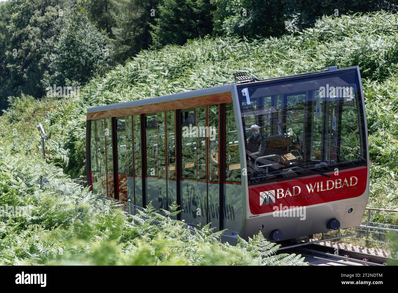 Funicolare Sommerbergbahn che sale sulla montagna nella vegetazione Foto Stock