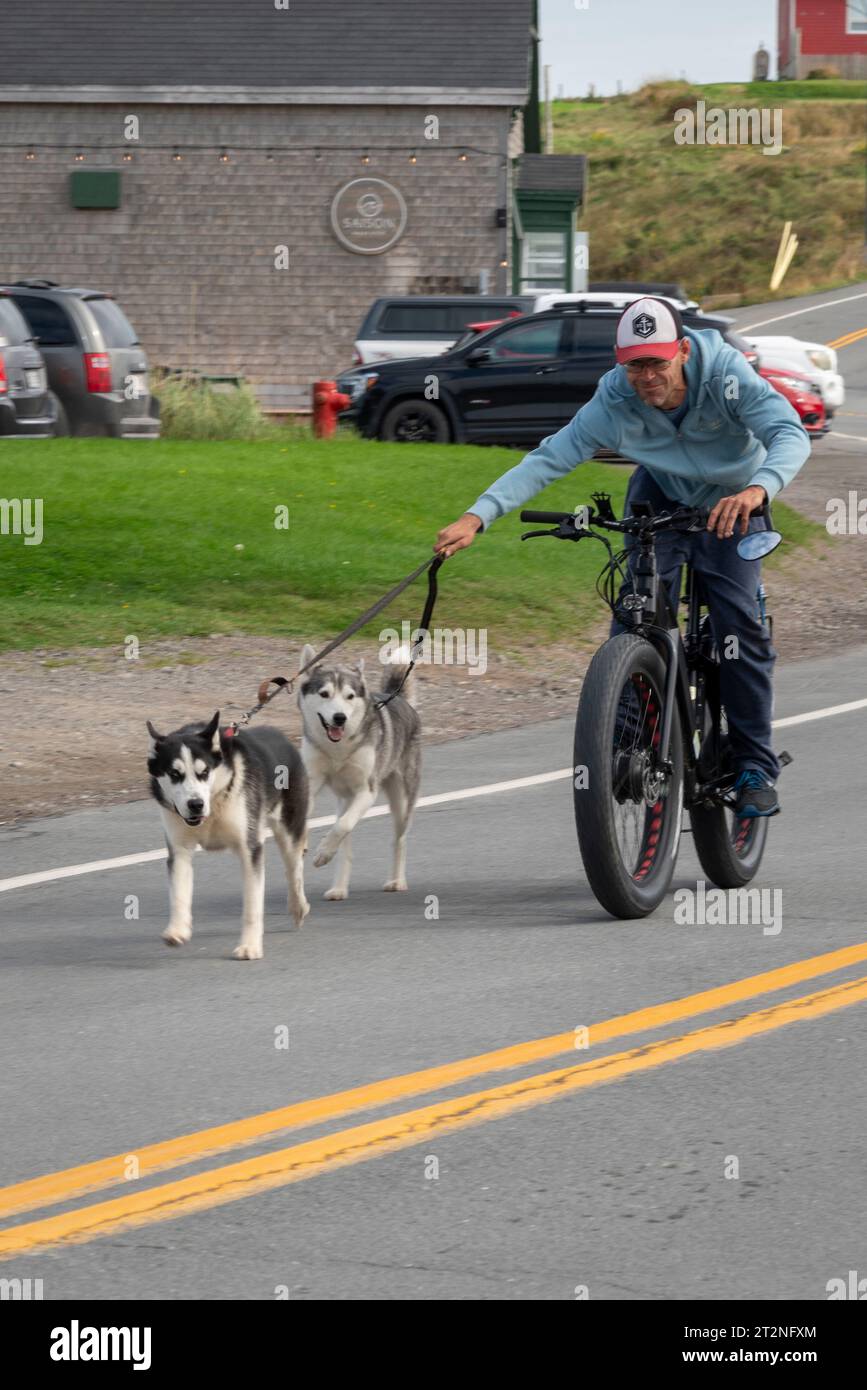 Formazione Husky a Lark sull'Iles de la Madeleine, Quebec. Foto Stock