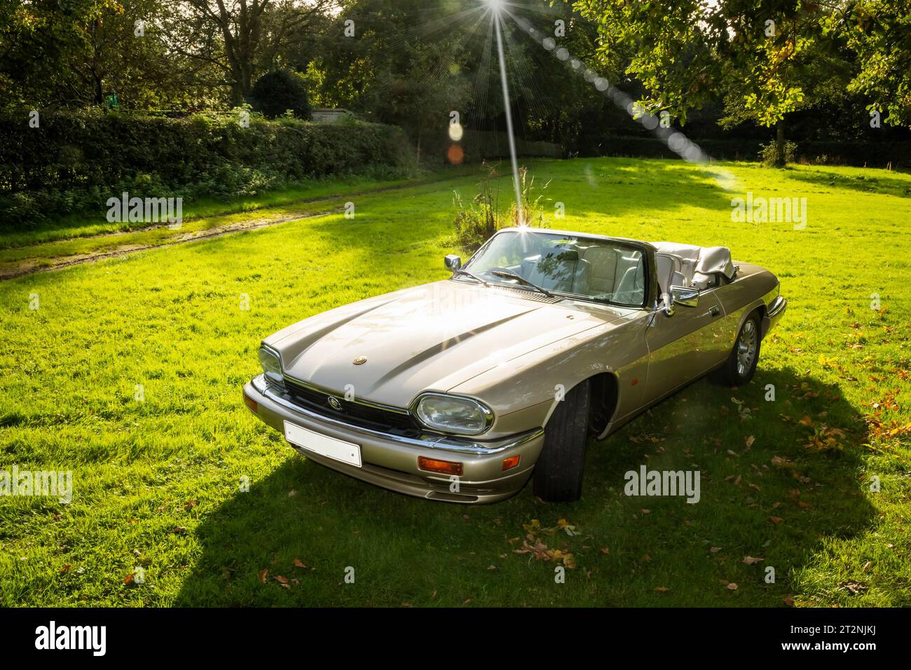 Jaguar XJS convertibile con capote abbassata in autunno Foto Stock