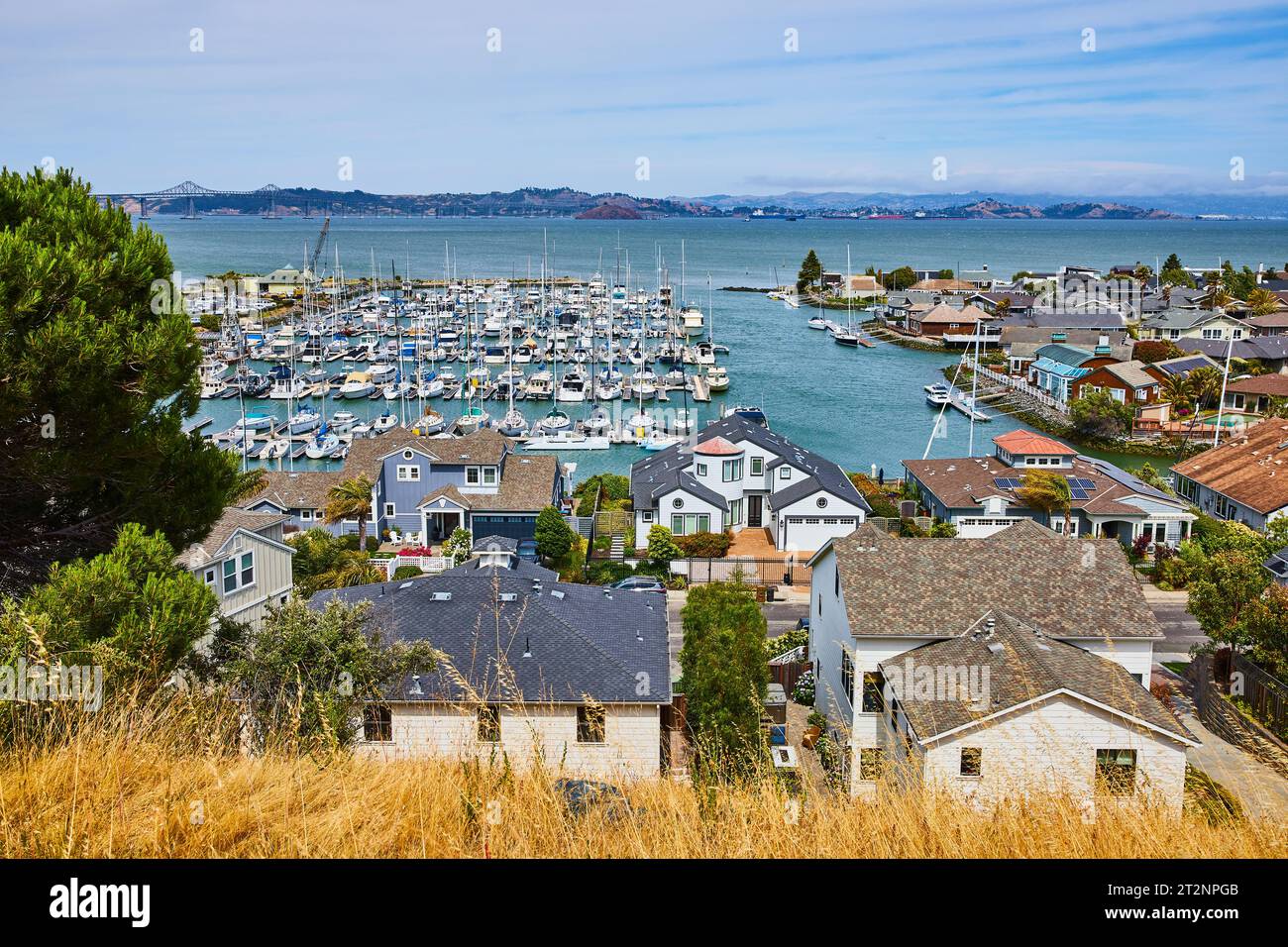 Vista in cima alla collina delle case del Tiburon Yacht Club che si affacciano sul Paradise Cay Yacht Harbor pieno di barche Foto Stock