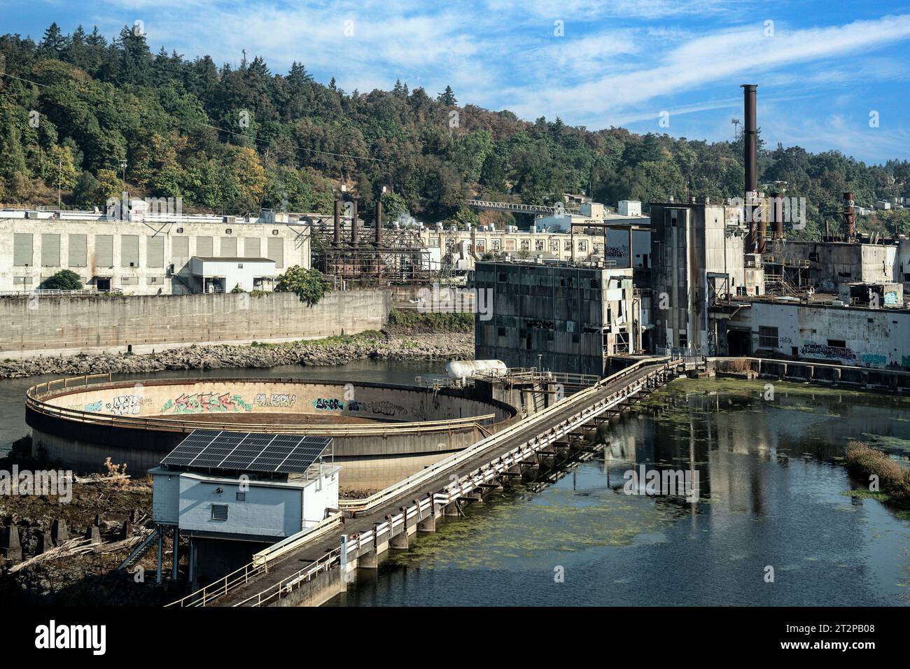 Willamette Falls Foto Stock