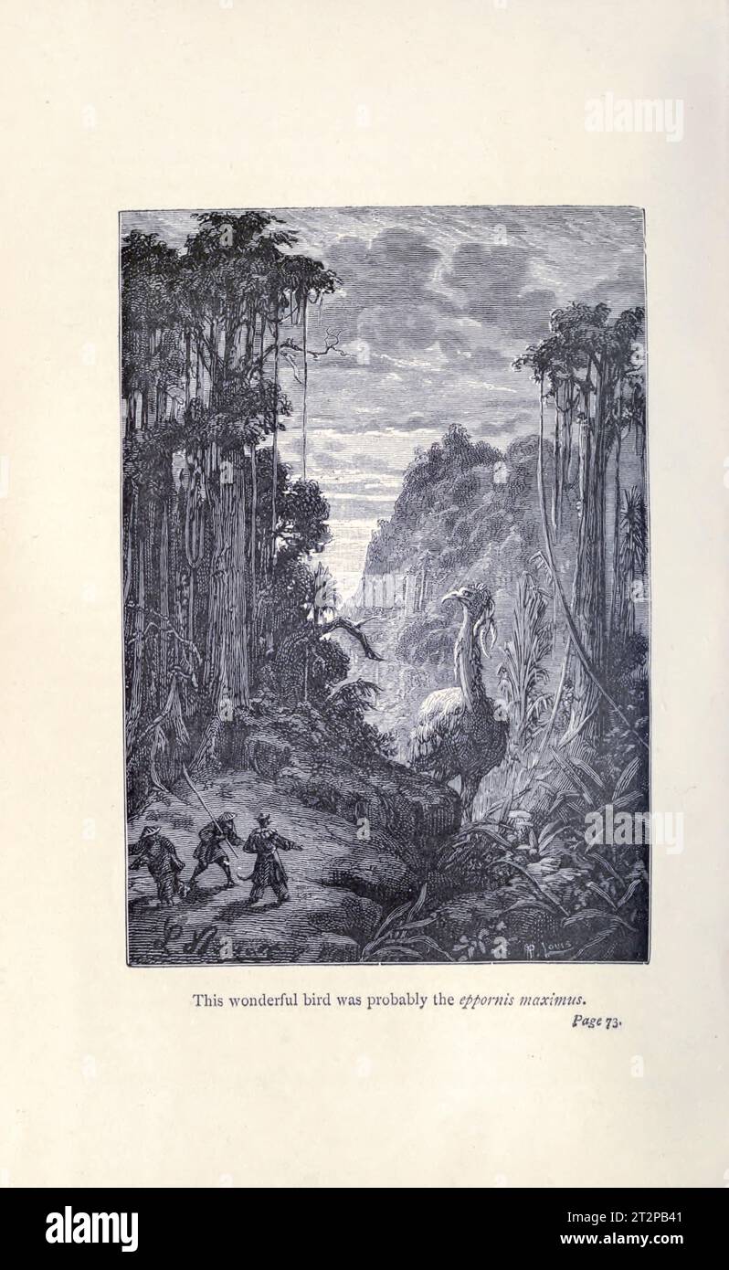 Uccello elefante, illustrazione del XIX secolo Foto Stock