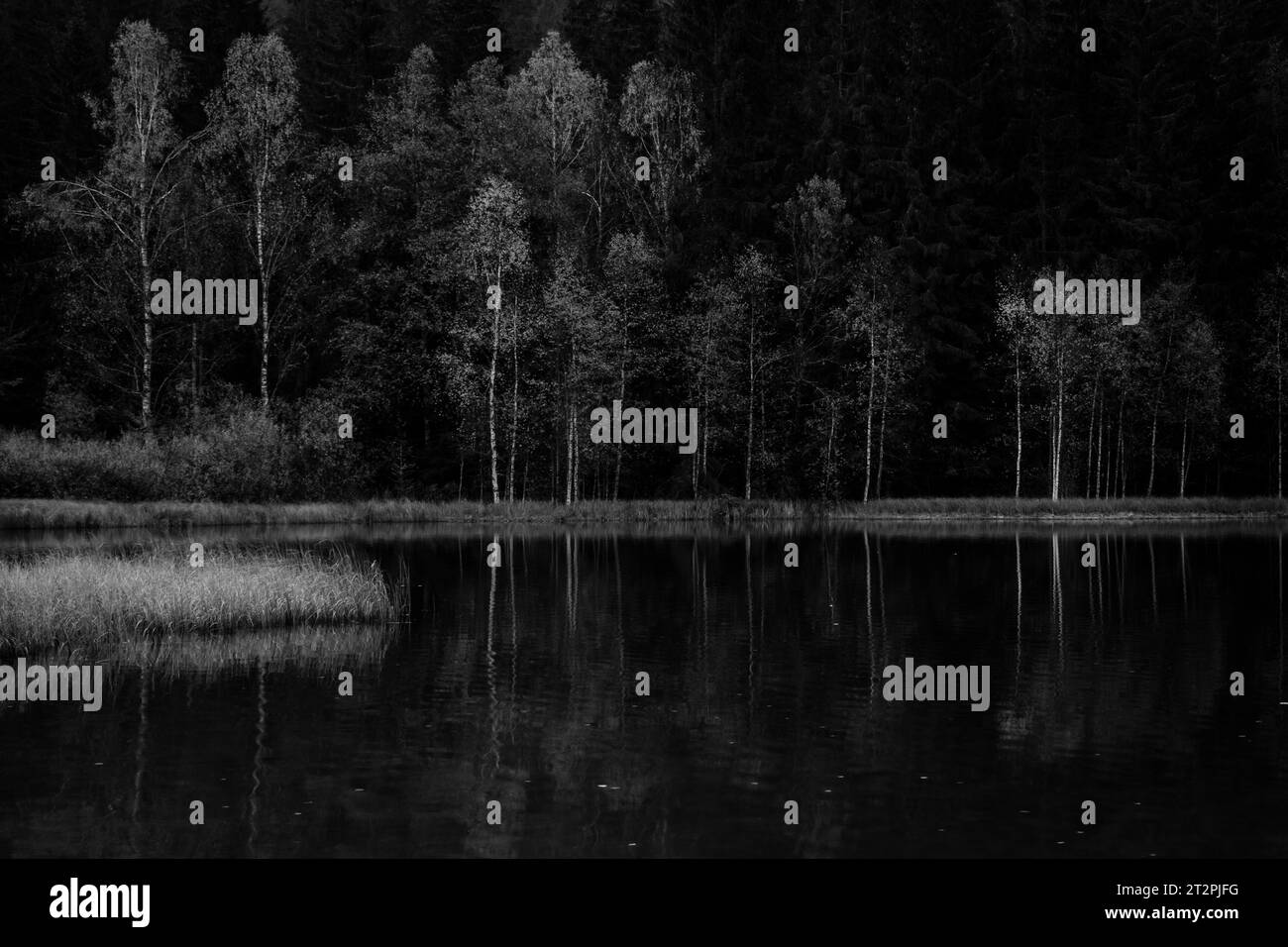 Riflessi con foresta nel lago autunnale, lago SF Ana Foto Stock