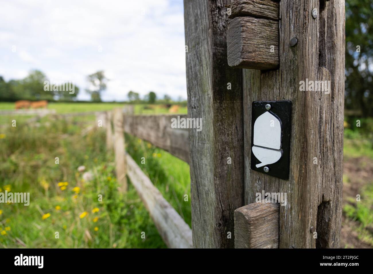 Una ghianda del National Trail su un cancello di recinzione, parte del sentiero del Vallo di Adriano vicino a Carlisle, Cumbria, Regno Unito Foto Stock