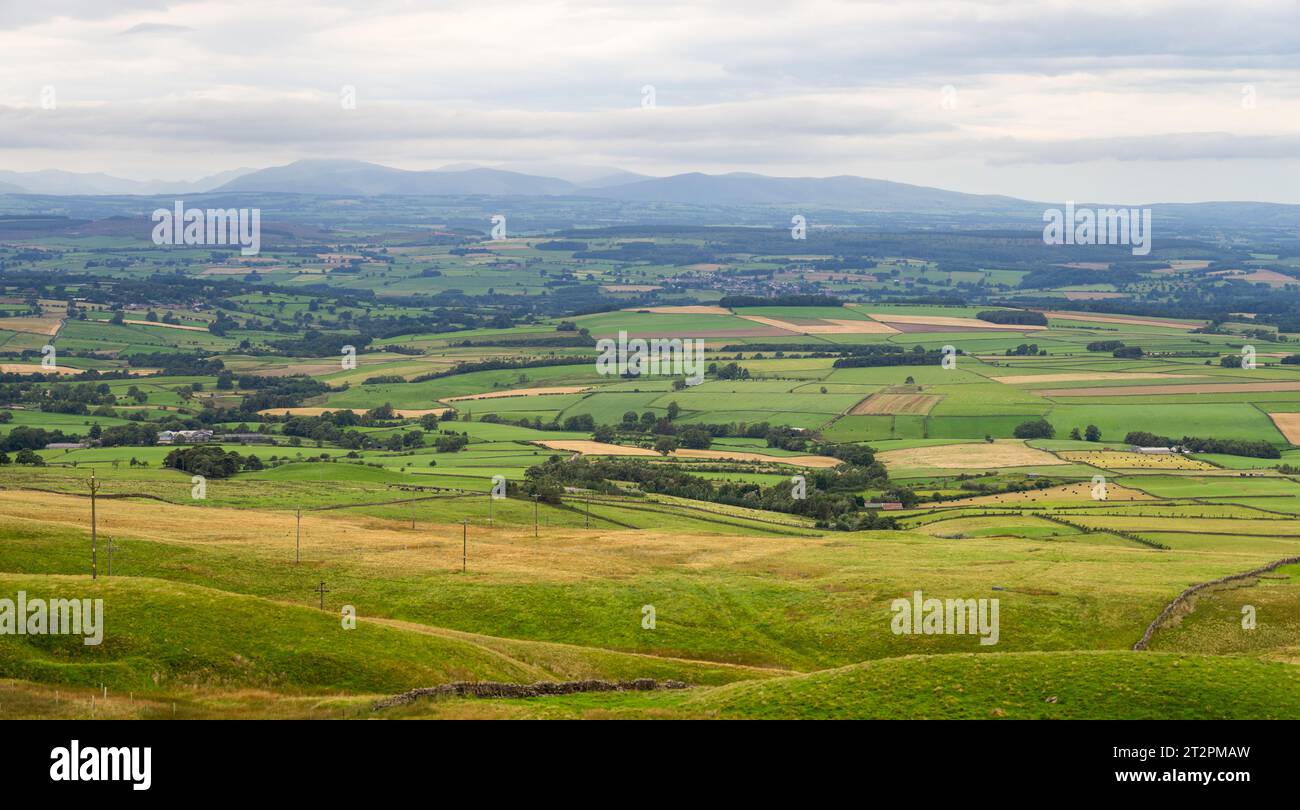 Guardando la campagna Cumbria dalla North Pennines area of Outstanding Natural Beauty (AONB), Regno Unito Foto Stock