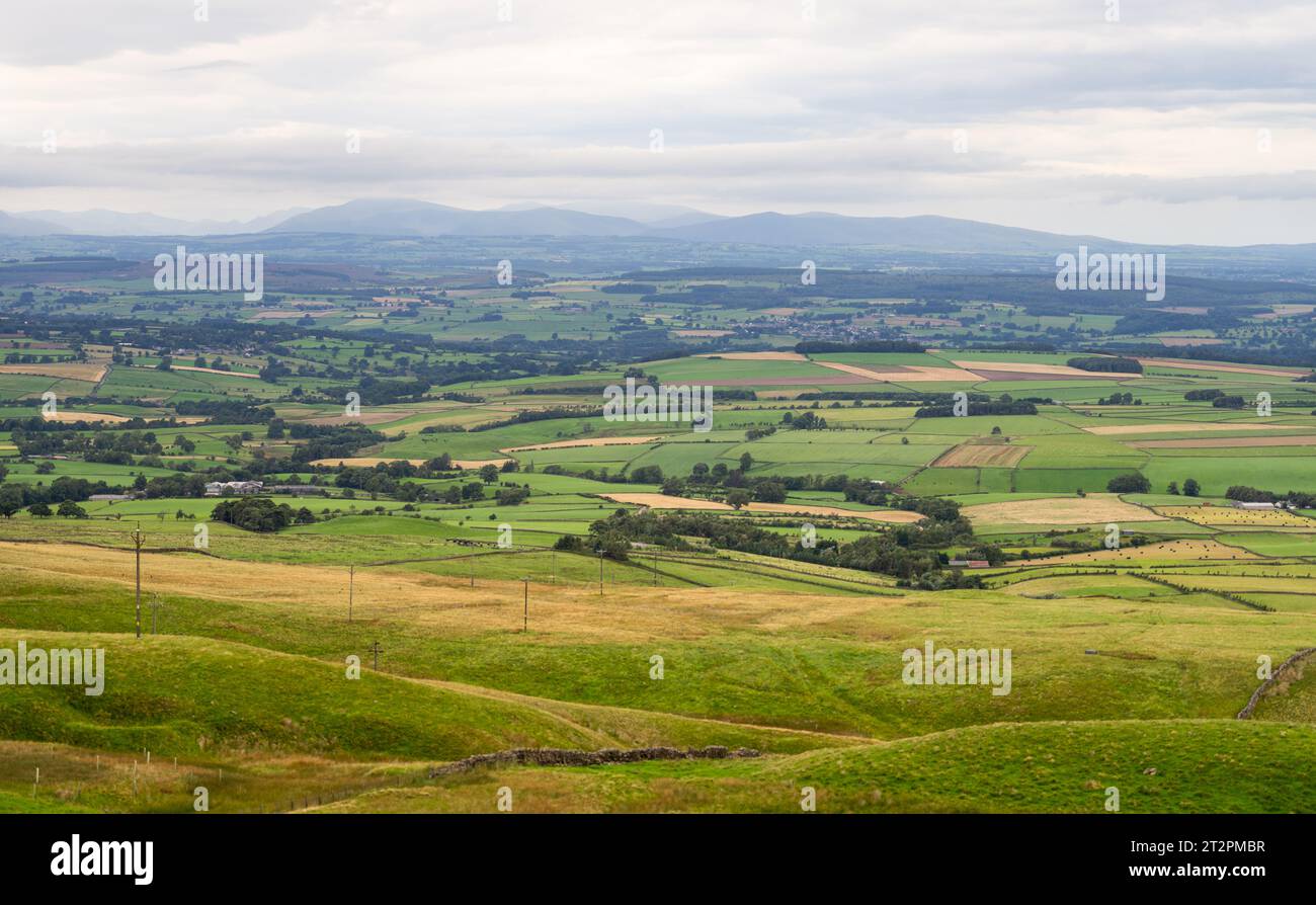 Guardando la campagna Cumbria dalla North Pennines area of Outstanding Natural Beauty (AONB), Regno Unito Foto Stock
