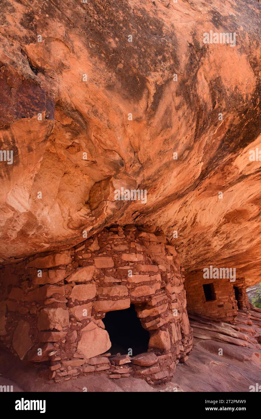 antiche rovine native americane del cratere nel parco nazionale dei ponti naturali vicino a blanding, utah Foto Stock