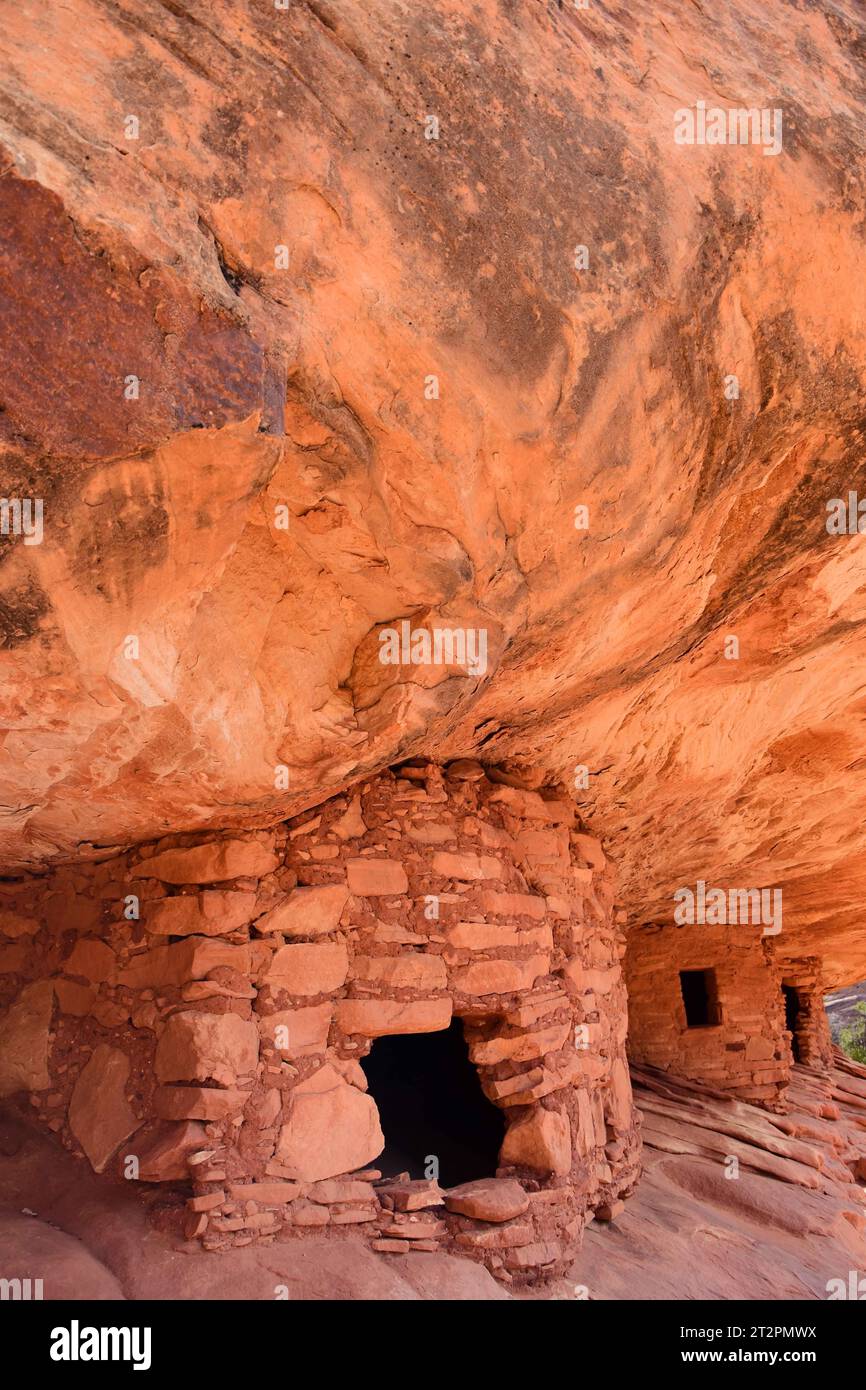 Antica casa in fiamme rovine indiane americane nel canyon mulattiere, vicino a Blanding, utah Foto Stock