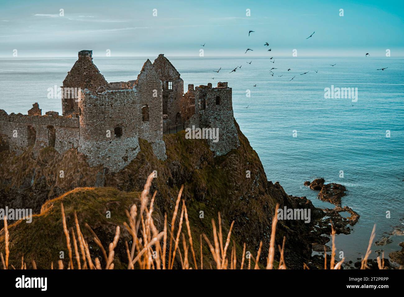 Rovine del castello di Dunluce, Irlanda del Nord Foto Stock