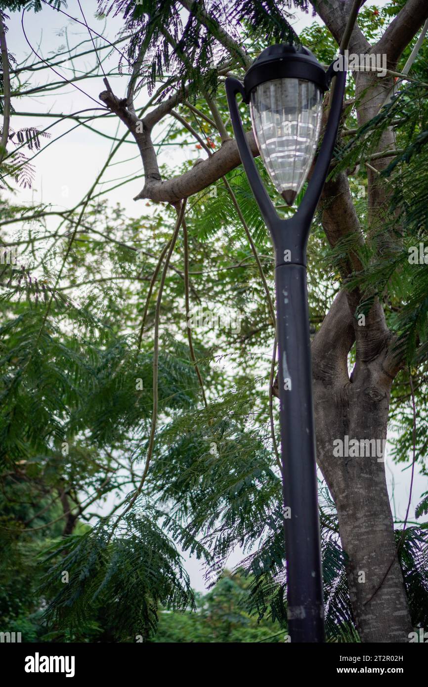 lampada da giardino su un palo nero, sfondo di foglie visibili dal basso con vista verso il cielo. Foto Stock