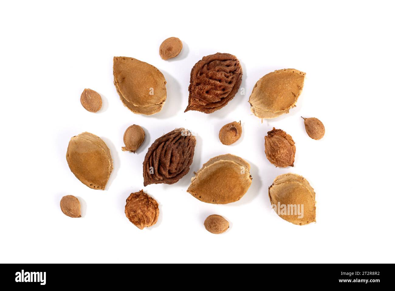 Gruppo di pozzi di frutta isolati su sfondo bianco Foto Stock