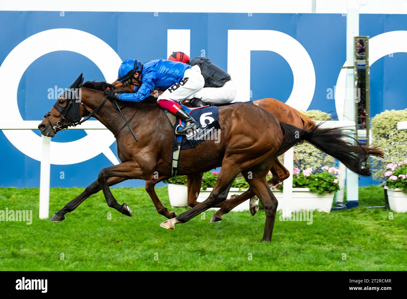 Ascot, Berkshire, Regno Unito; Frankie Dettori e Trawlerman vincono la QIPCO British Champions Long Distance Cup (gruppo 2) per l'allenatore John & Thady Gosden e il proprietario Godolphin. Credito immagini equine JTW / Alamy Foto Stock