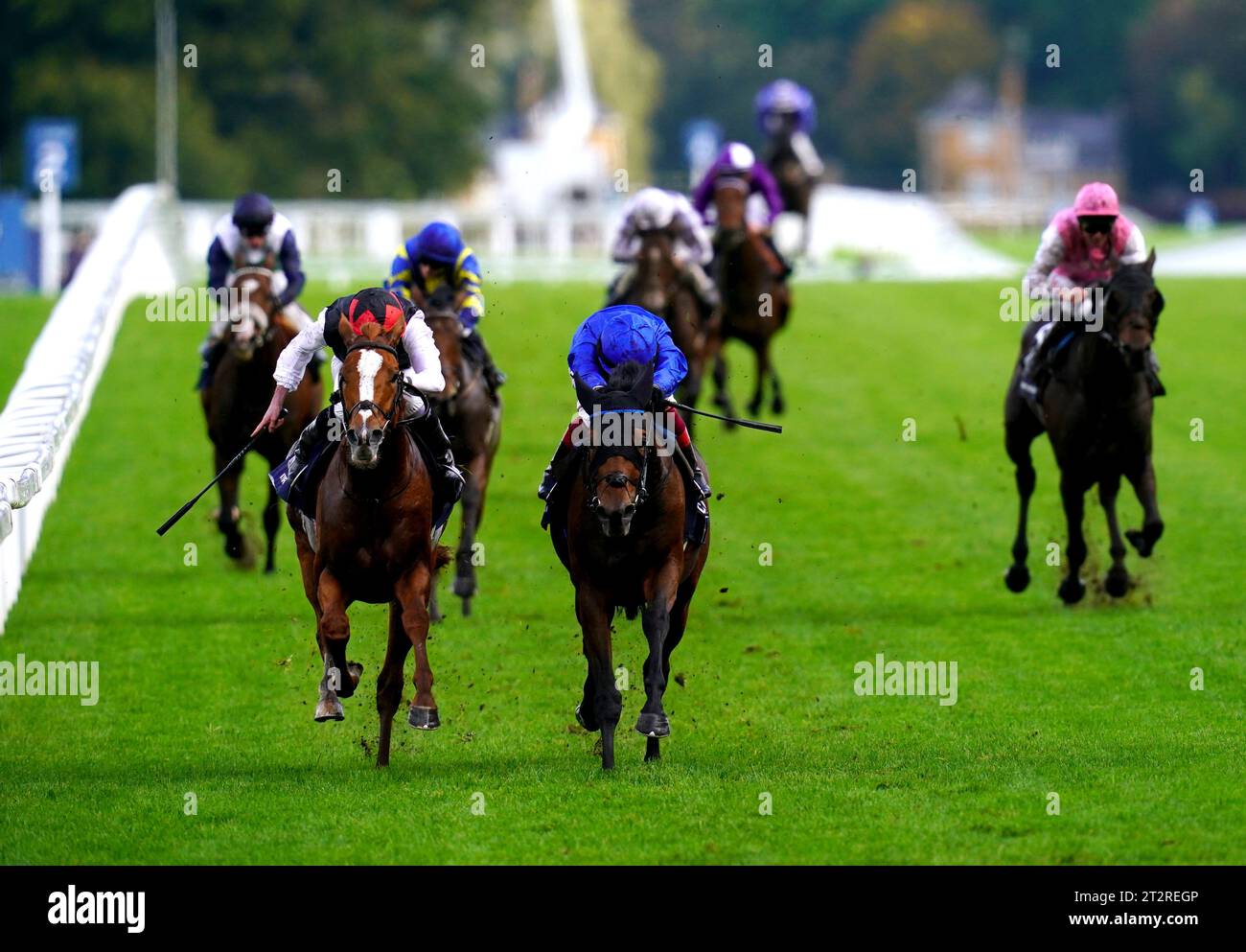 Trawlerman ha guidato il fantino Frankie Dettori (al centro, seta blu) sulla strada per vincere la Qipco British Champions Long Distance Cup durante il QIPCO British Champions Day all'Ascot Racecourse, Berkshire. Data immagine: Sabato 21 ottobre 2023. Foto Stock