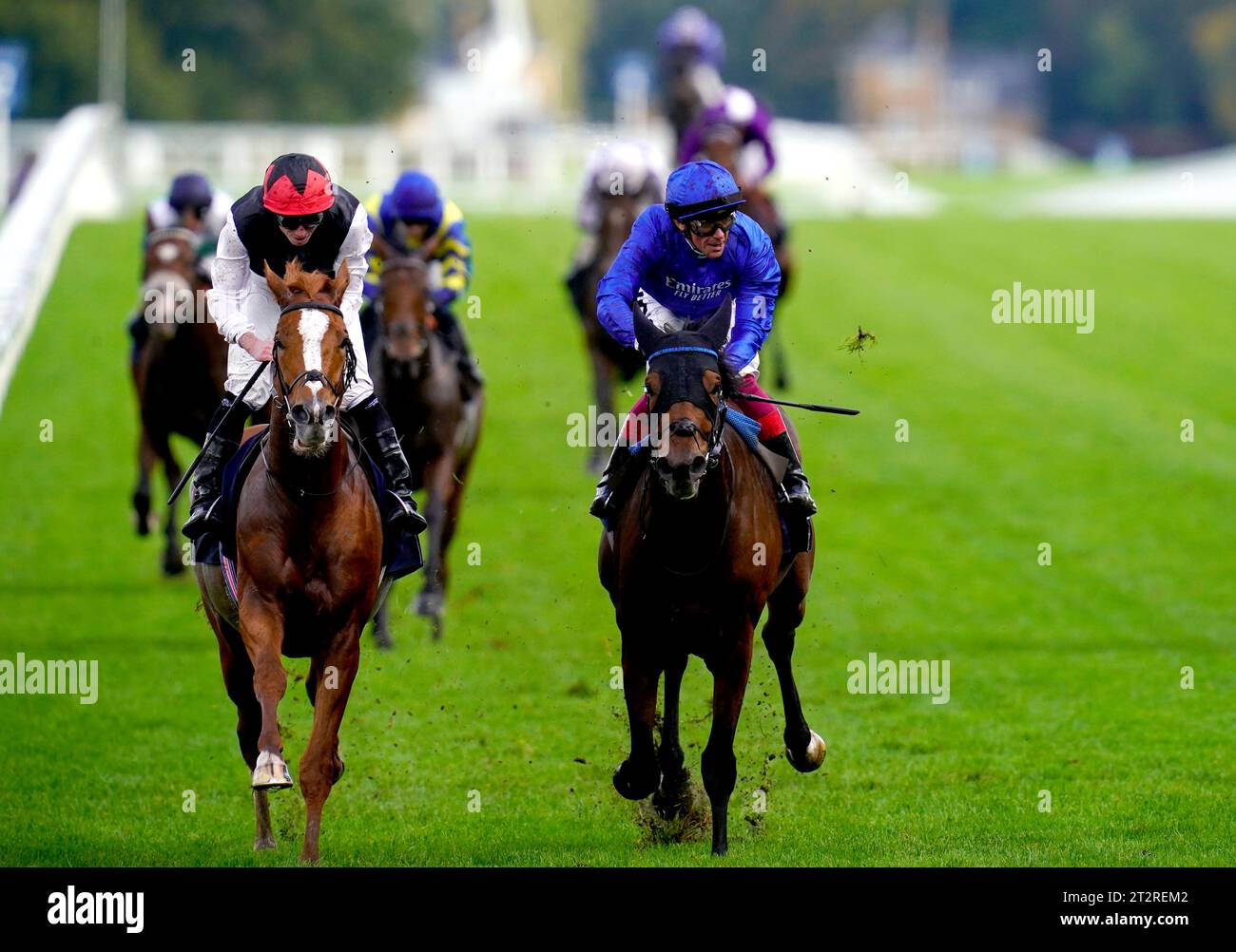 Trawlerman guidato dal fantino Frankie Dettori (a destra) vince la Qipco British Champions Long Distance Cup durante il QIPCO British Champions Day all'Ascot Racecourse, Berkshire. Data immagine: Sabato 21 ottobre 2023. Foto Stock