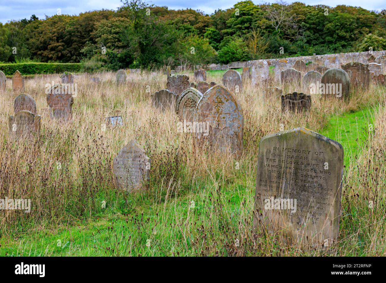 File di lapidi nel cimitero sovradimensionato di St Nicholas, chiesa parrocchiale di Blakeney, Norfolk, Inghilterra, Regno Unito Foto Stock