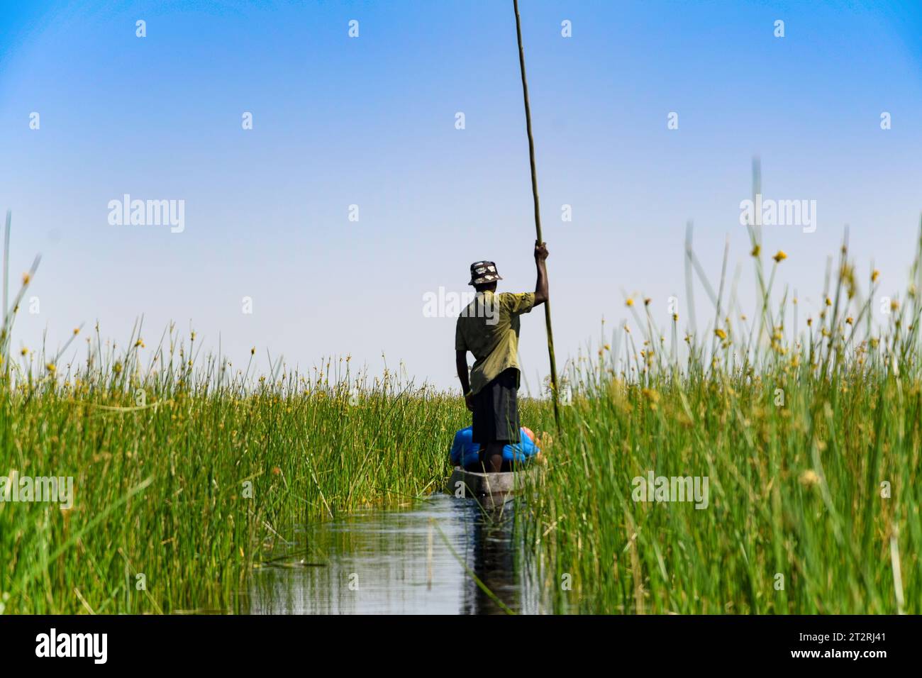 Un pescatore sta guidando con la sua barca attraverso il Delta dell'Okavango Foto Stock