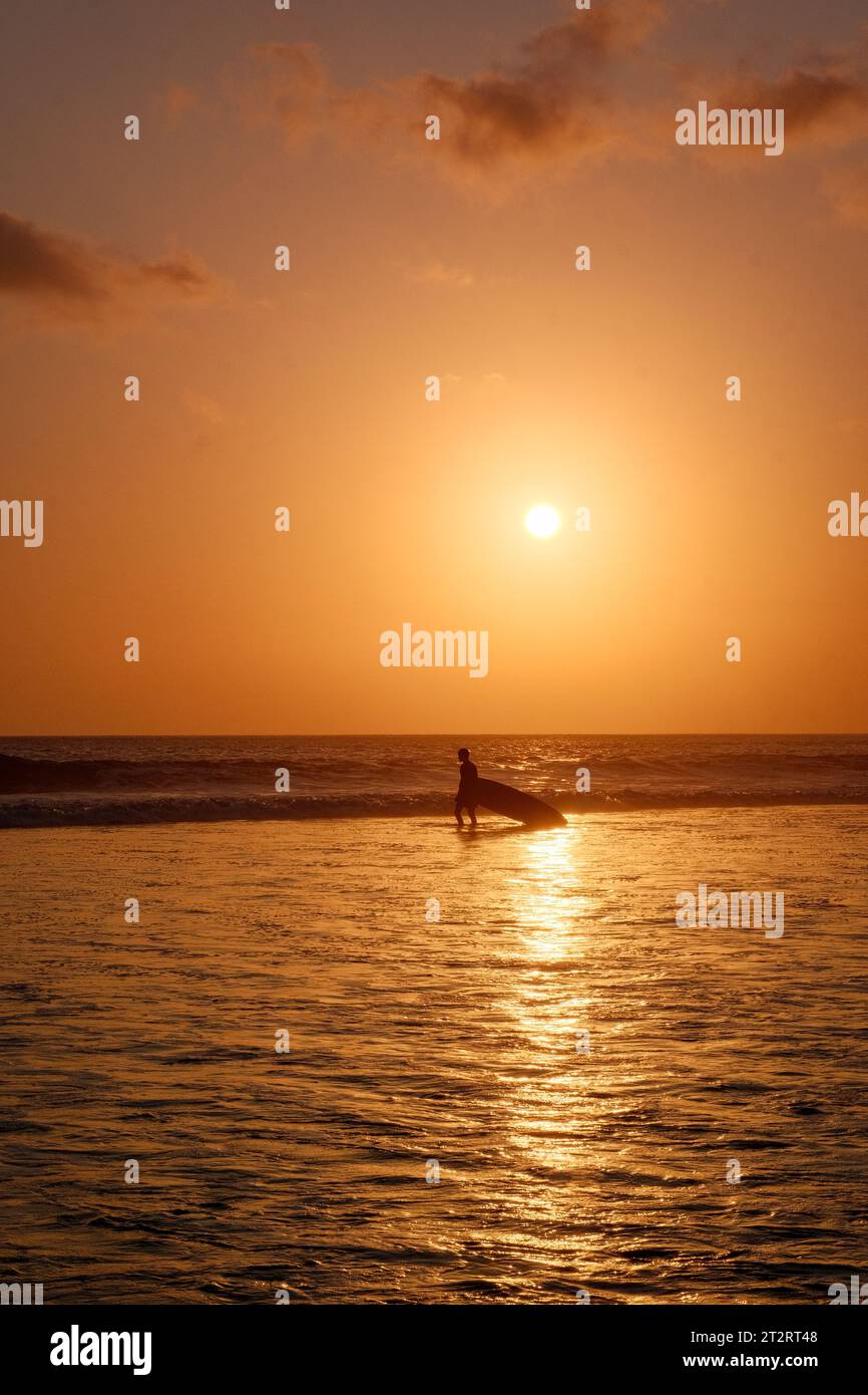 In questa composizione verticale, immergiti nell'affascinante momento di un surfista solitario, la sua silhouette ben definita contro il ramoscello arancione di Kuta Foto Stock