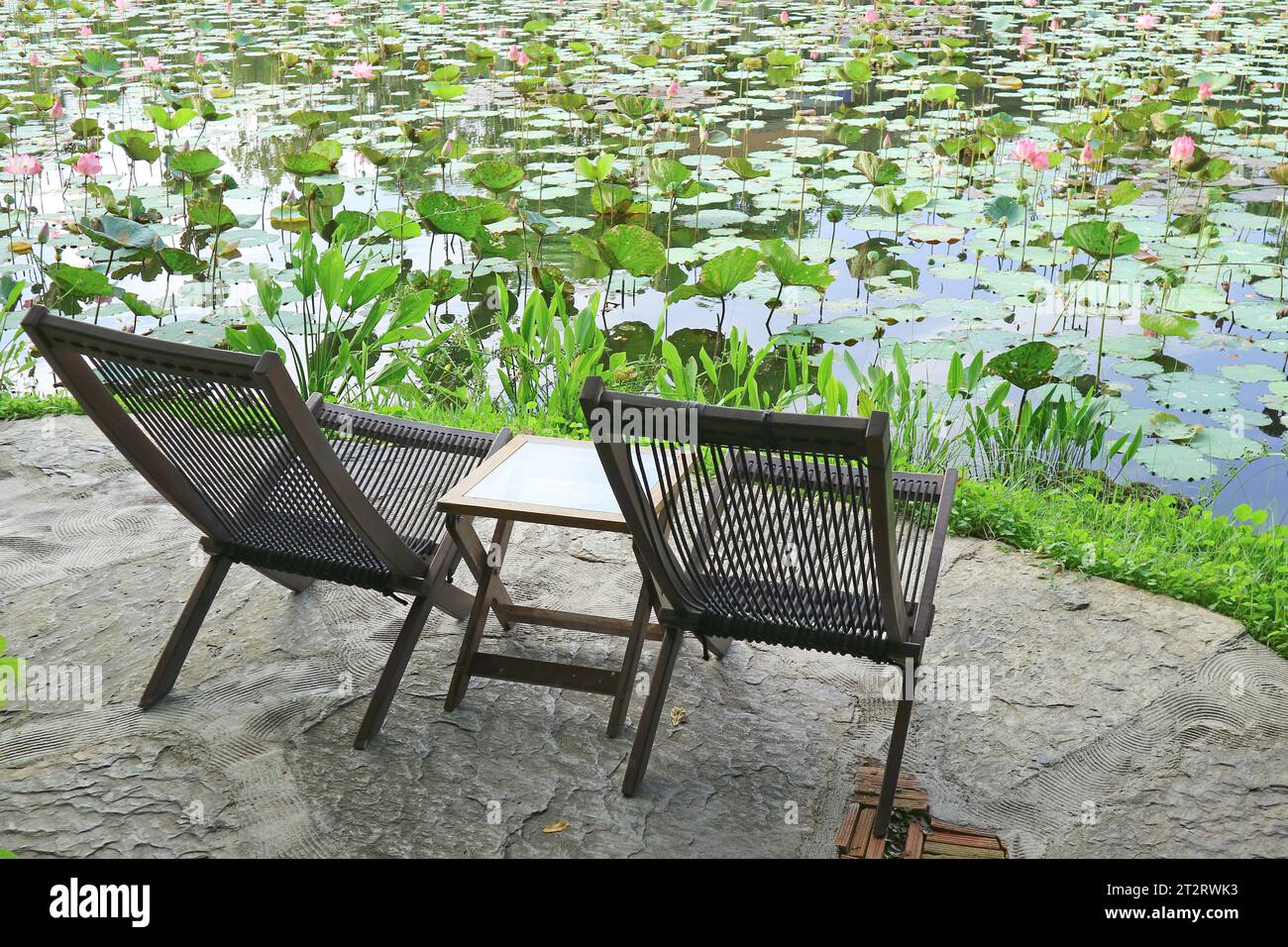 Due sedie in legno sul lato piscina delle ninfee Foto Stock