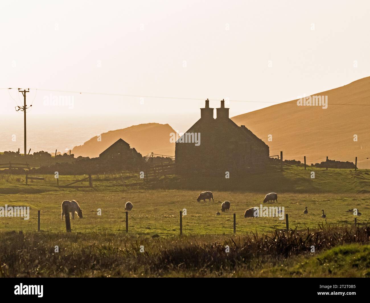 Vista su croft abbandonato retroilluminato, Dale of Walls, Mainland Shetland, Scozia Foto Stock
