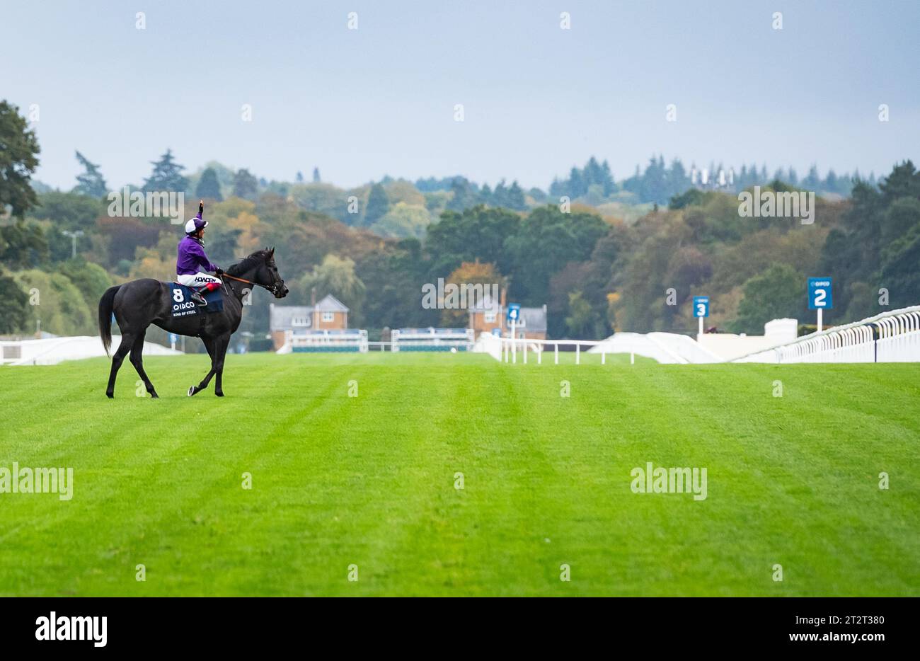 Ascot, Berkshire, Regno Unito. Sabato 21 ottobre 2023. King of Steel e Frankie Dettori vincono la QIPCO British Champion Stakes per l'allenatore Roger Varian e i proprietari amo Racing Limited. Credito immagini equine JTW / Alamy Live News Foto Stock