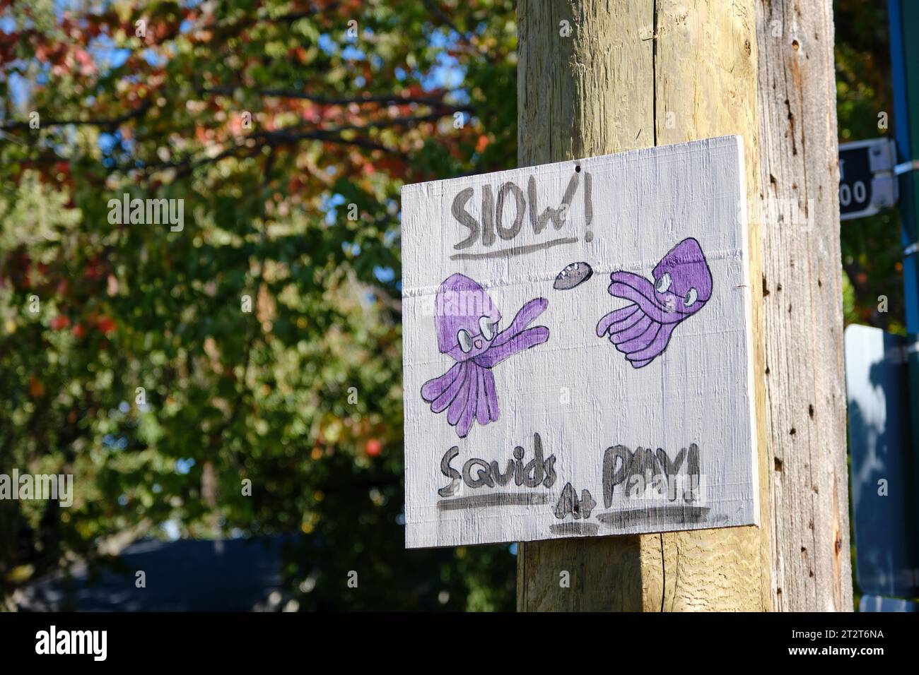 Divertente cartello "Squid at Play Slow" fatto a mano che chiede ai conducenti di rallentare nella zona residenziale di Vancouver Foto Stock