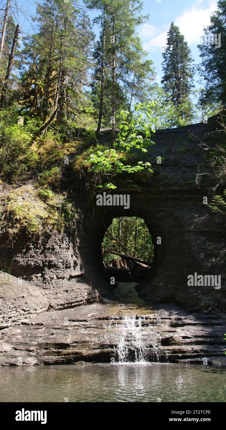 Hole in the Wall, Vancouver Island Foto Stock
