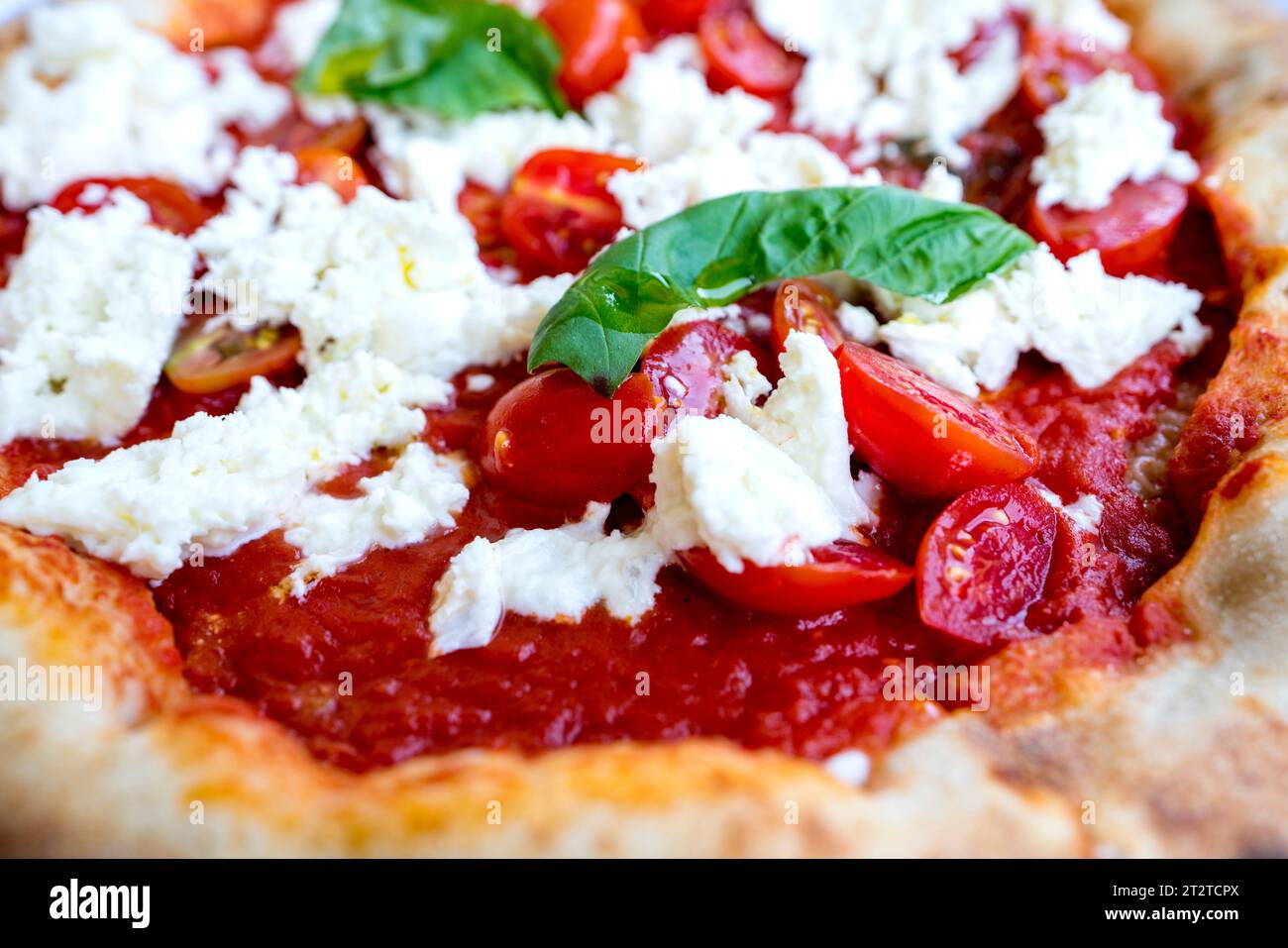 Pizza con formaggio di capra, Firenze, Toscana, Italia, Europa Foto Stock