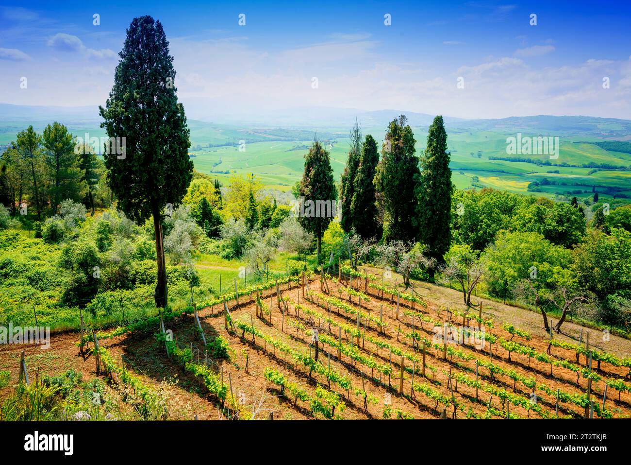 Pienza, Val D'Orcia, Toscana, Italia, Europa, Patrimonio Mondiale dell'Umanità dell'UNESCO Foto Stock