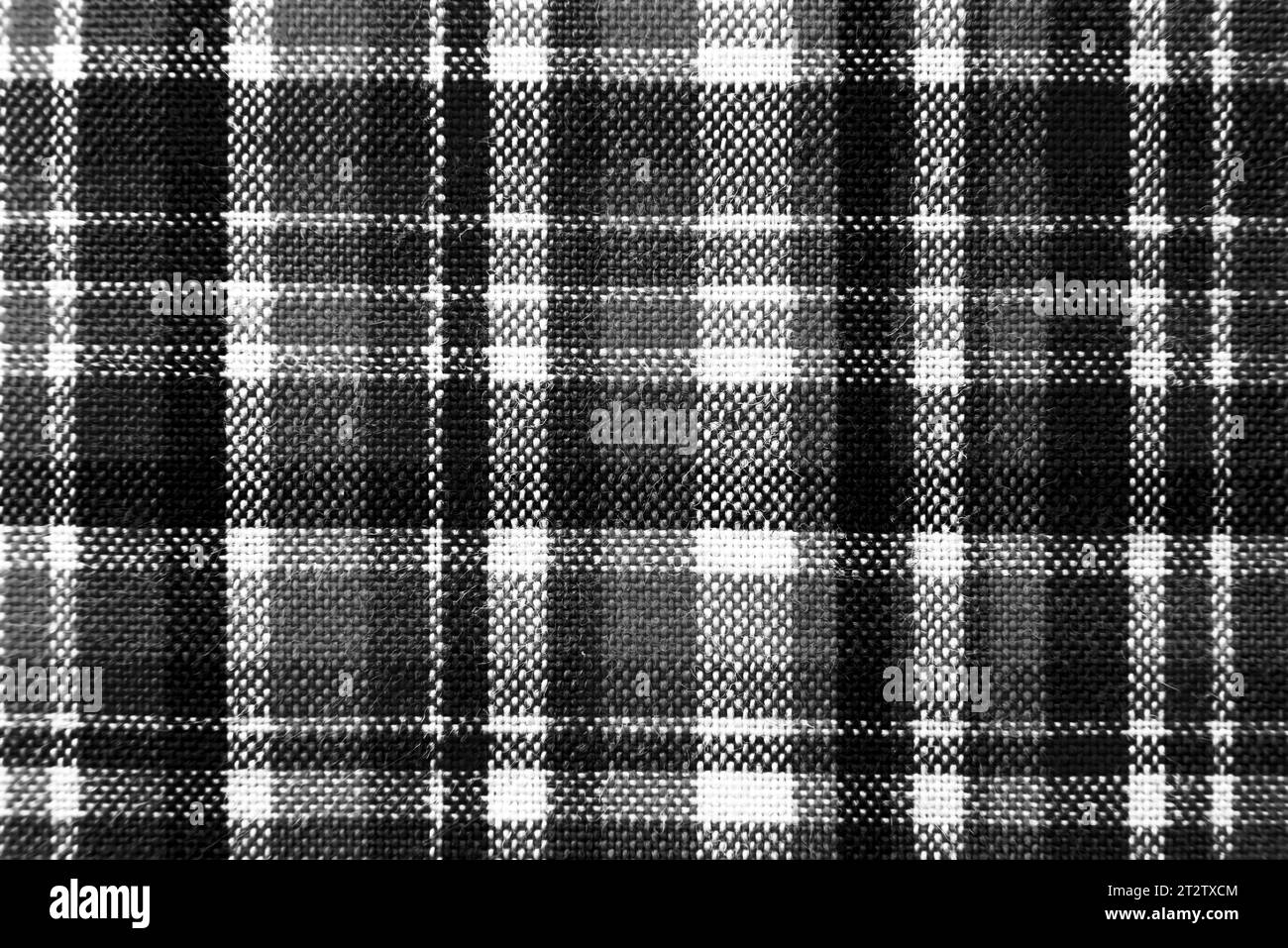 Trama del tessuto a scacchi con quadratini bianchi e neri. Sfondo in tessuto bianco e nero a scacchi. Materiale sartoriale scozzese. Foto Stock