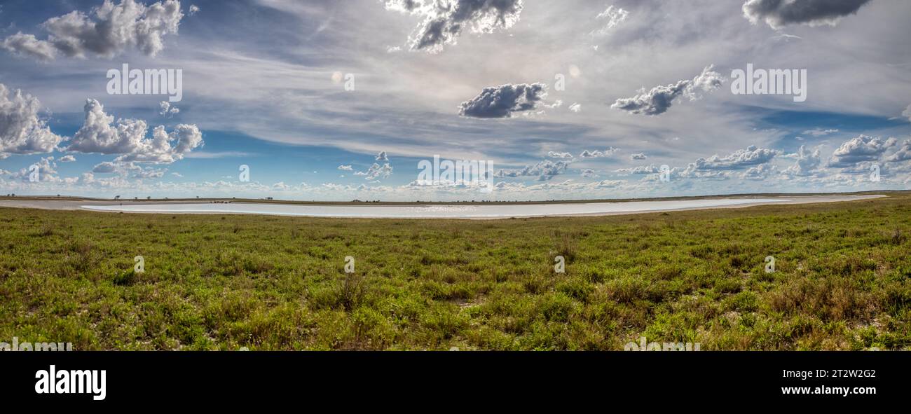 paesaggio, terreno tipico spesso visto nell'africa meridionale, lago e savana con un cielo nuvoloso Foto Stock