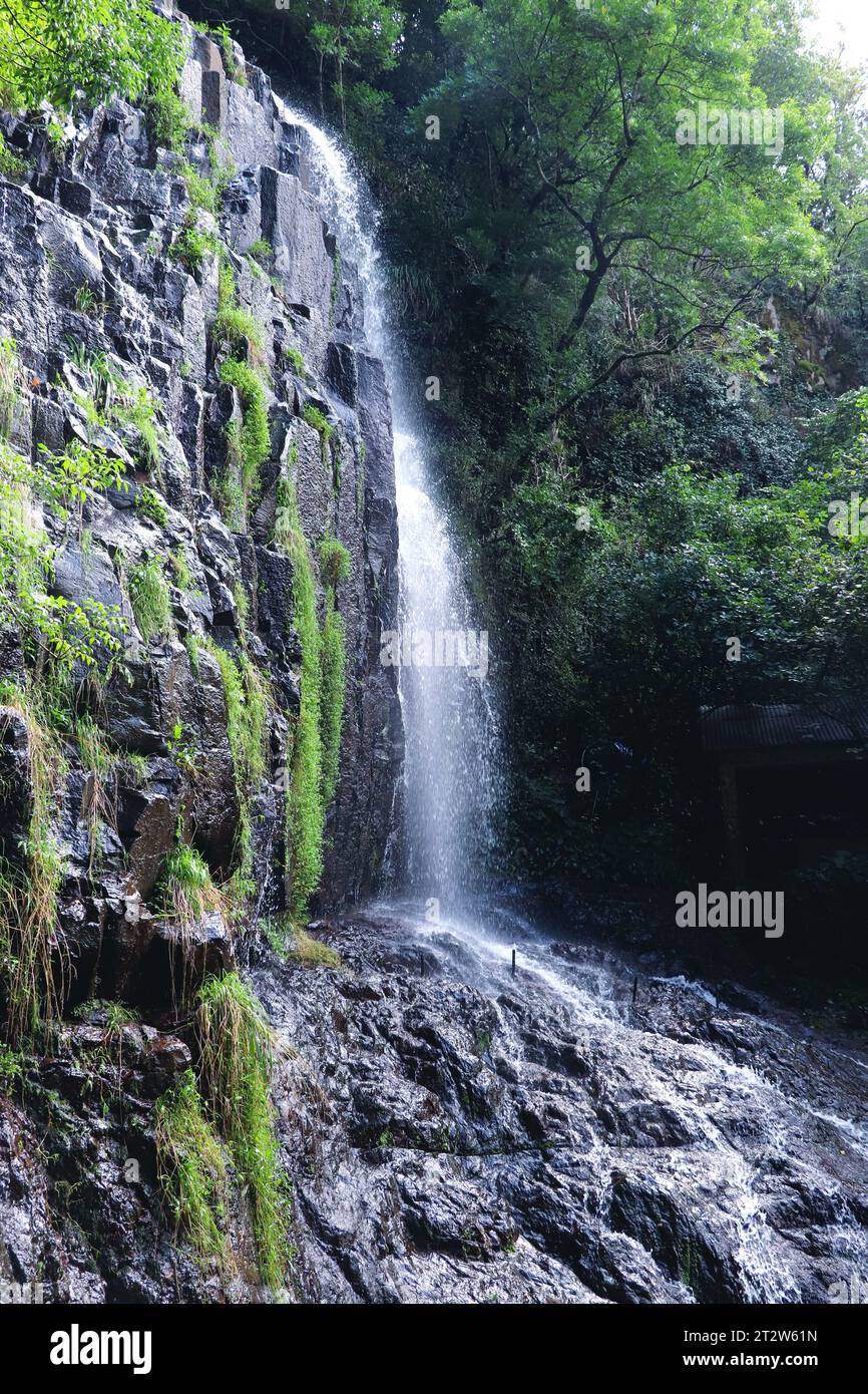 La cascata è in estate. Piccola cascata. Foto Stock