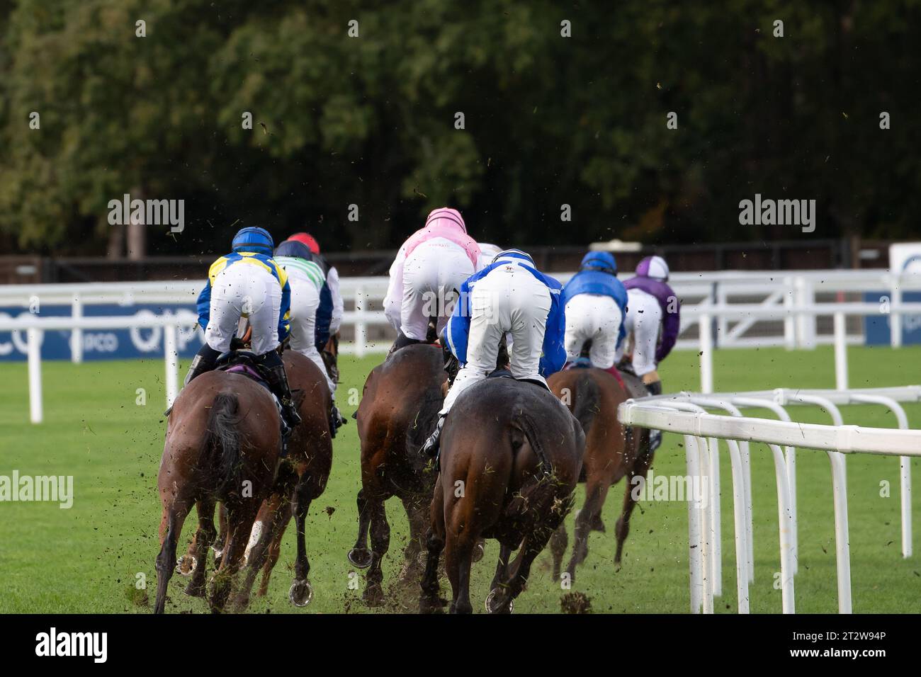 Ascot, Berkshire, Regno Unito. 21 ottobre 2023. Piloti nel primo miglio della QIPCO British Champions Long Distance Cup all'Ascot Racecourse al QIPCO British Champions Day all'Ascot Racecourse. Jockey Frankie Dettori ha vinto la gara a cavallo Trawlerman. Istruttore John & Thady Gosden Newmarket. Il proprietario Godolphin. Oggi sarà l’ultima gara di Frankie Dettori nel Regno Unito prima di dirigersi verso gli Stati Uniti per continuare la sua carriera lì. Credito: Maureen McLean/Alamy Live News Foto Stock