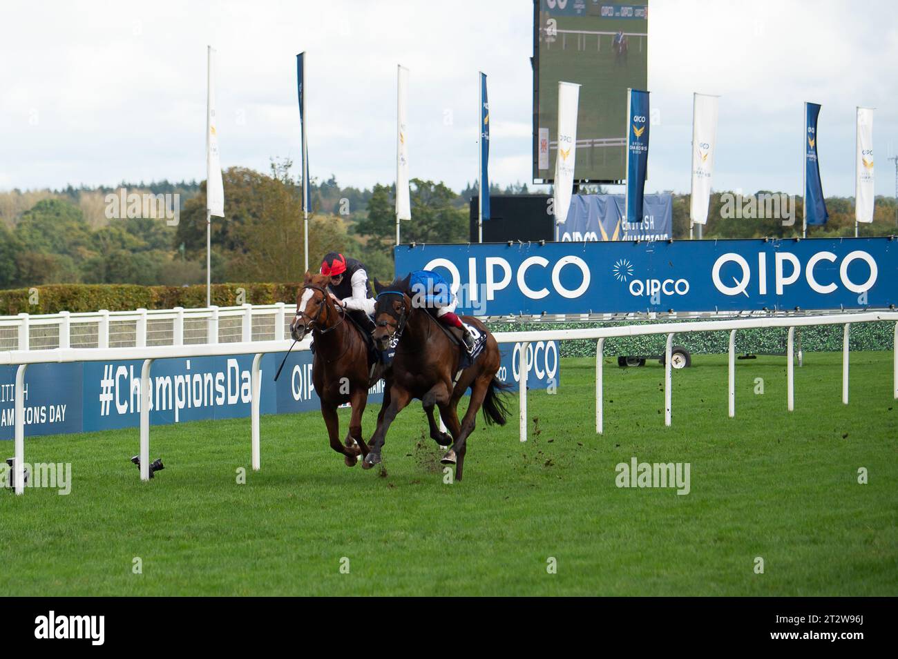 Ascot, Berkshire, Regno Unito. 21 ottobre 2023. Frankie Dettori (R) vince la QIPCO British Champions Long Distance Cup a cavallo Trawlerman all'ippodromo di Ascot, al QIPCO British Champions Day all'ippodromo di Ascot. Istruttore John & Thady Gosden Newmarket. Il proprietario Godolphin. Oggi sarà l’ultima gara di Frankie Dettori nel Regno Unito prima di dirigersi verso gli Stati Uniti per continuare la sua carriera lì. Credito: Maureen McLean/Alamy Live News Foto Stock