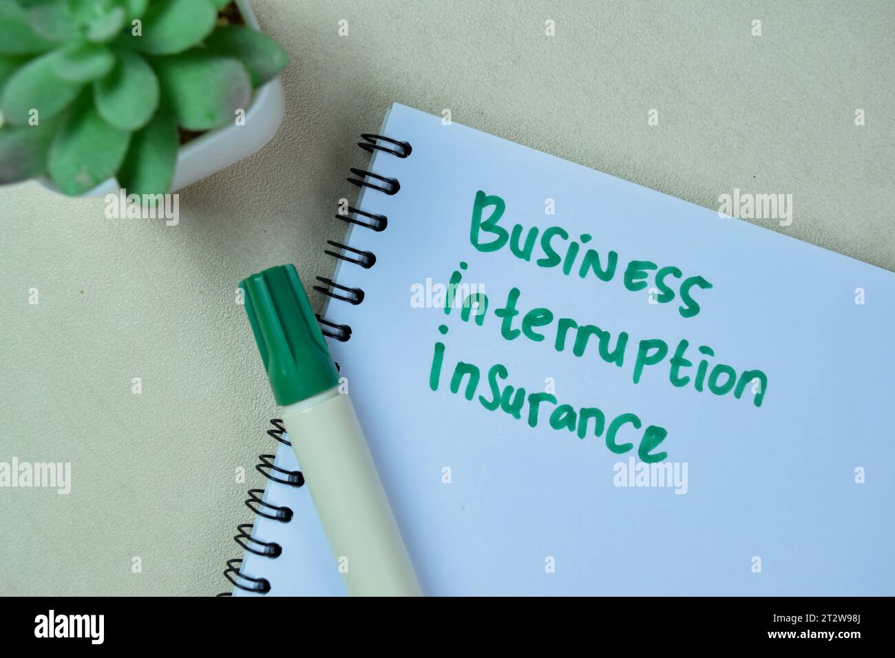 Concetto di assicurazione interruzione d'affari scrivere su libro isolato su tavolo di legno. Foto Stock