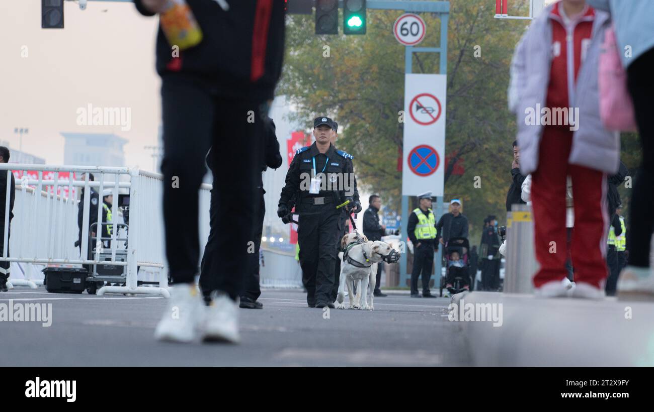 DONGYING, CINA - 22 OTTOBRE 2023 - cani della polizia alla ricerca di merci pericolose alla maratona di Yellow River Mouth (Dongying) nella città di Dongying, Cina orientale Foto Stock