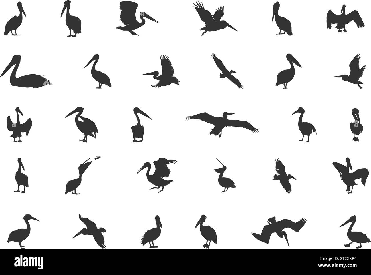 Silhouette Pelican, silhouette Pelican marrone, Pelican SVG, silhouette Pelican, silhouette Bird, Pelican Vector Illustrazione Vettoriale