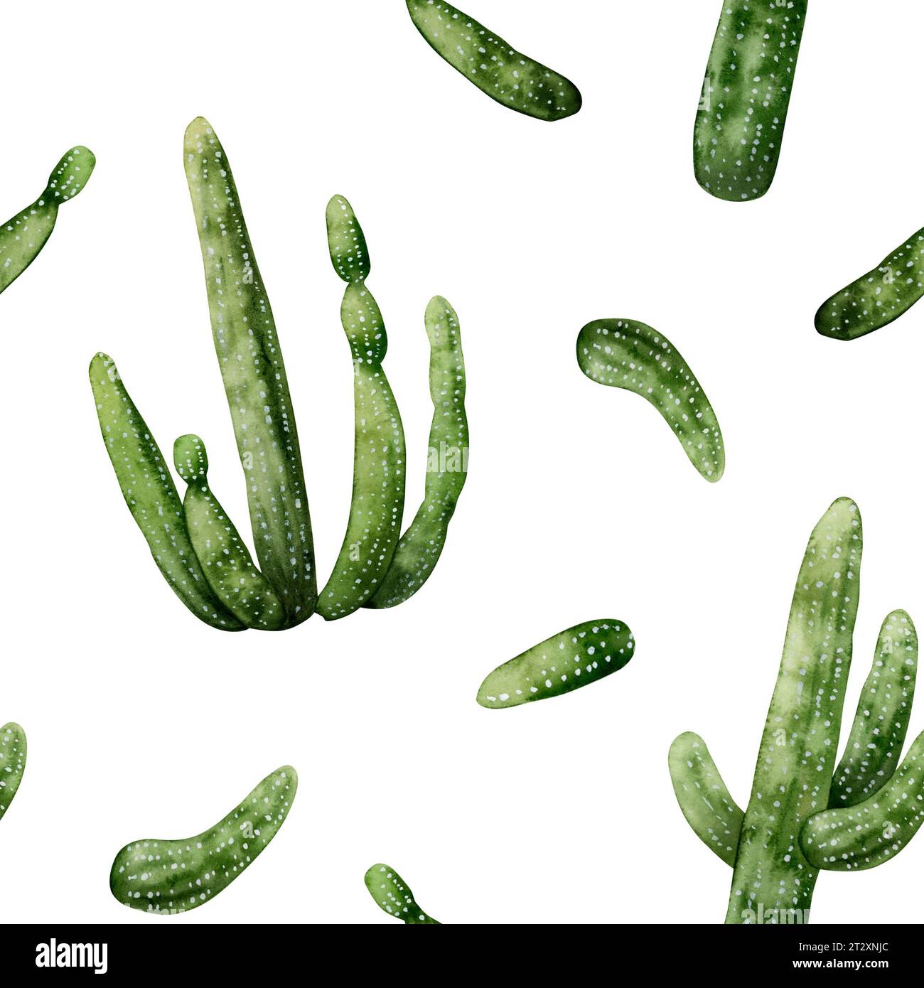 Acquerello Saguaro Carnegia cactus motivo senza cuciture su sfondo bianco. Piante messicane dell'America occidentale del deserto provenienti dall'Arizona e dal selvaggio West. Foto Stock