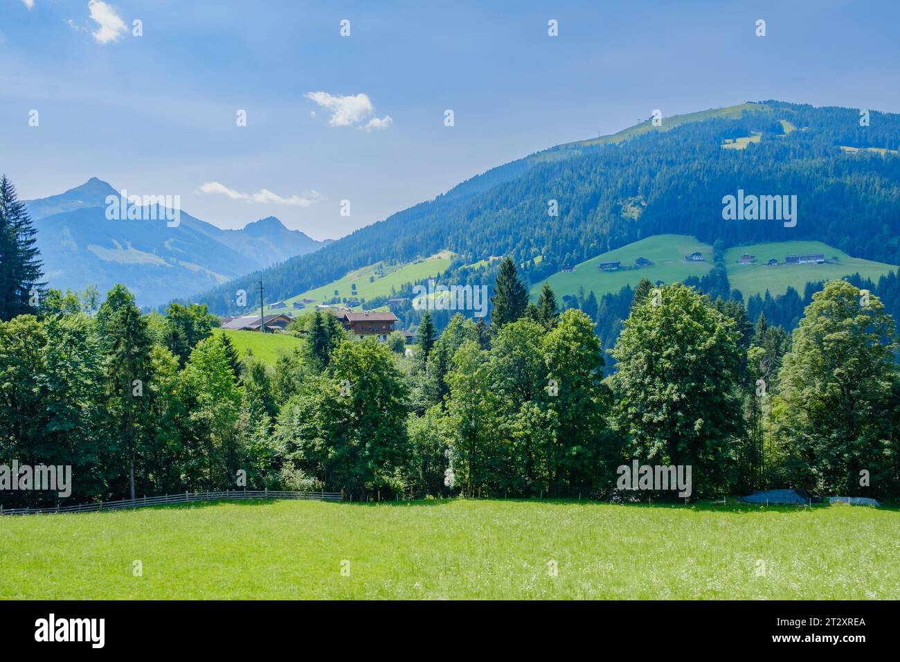 Una linea di alberi, lussureggianti campi verdi costellati di case, colline ondulate e montagne. Alpbach, Tirolo, Austria. Foto Stock