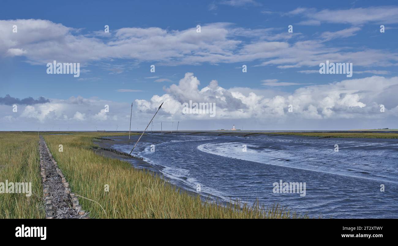 Vista da Tuemlauer Koog sulla penisola di Eiderstedt al faro di Westerhever nel Mare del Nord in Frisia settentrionale, Germania Foto Stock Vista da Tuemlauer Koog sulla penisola di Eiderstedt al faro di Westerhever nel Mare del Nord in Frisia settentrionale, Germania Foto Stock