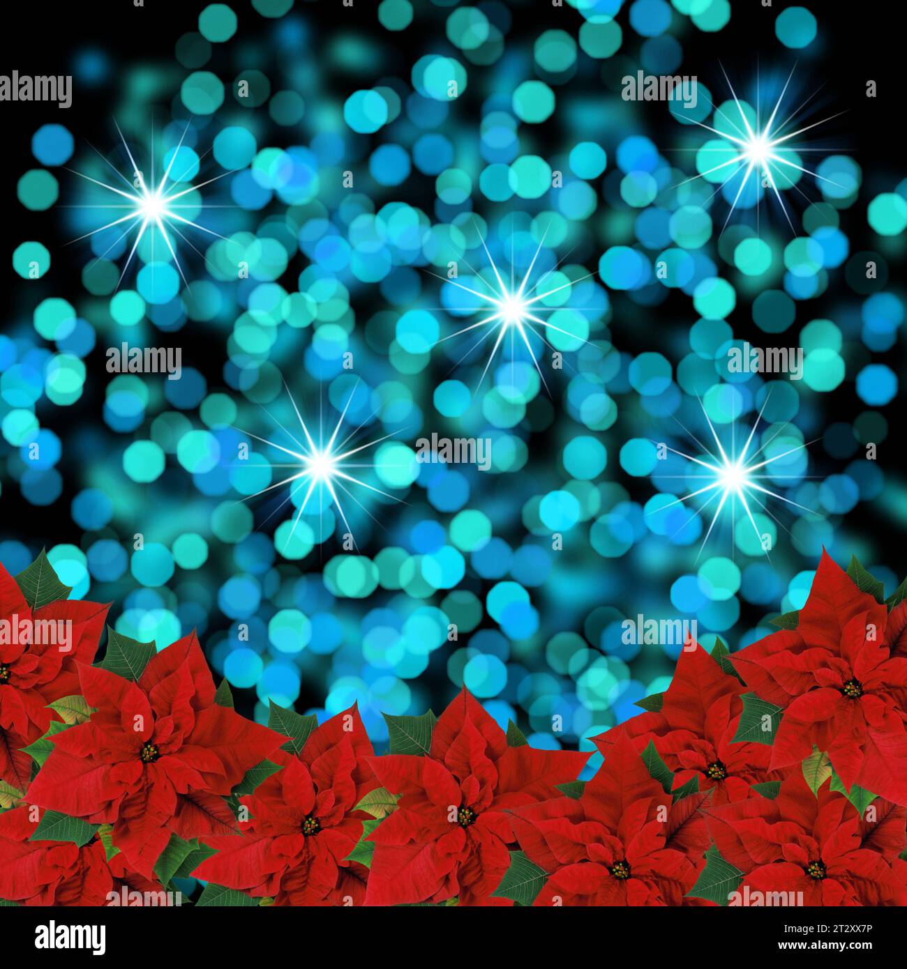 Sfondo natalizio con bokeh blu e bordo rosso della pianta poinsettia Foto Stock