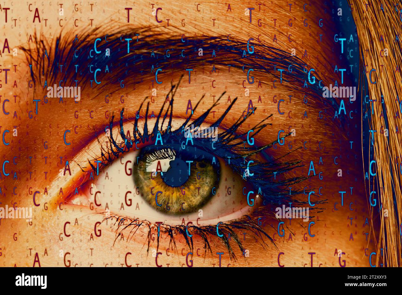Macro di un occhio donna e sequenza genetica del DNA Foto Stock