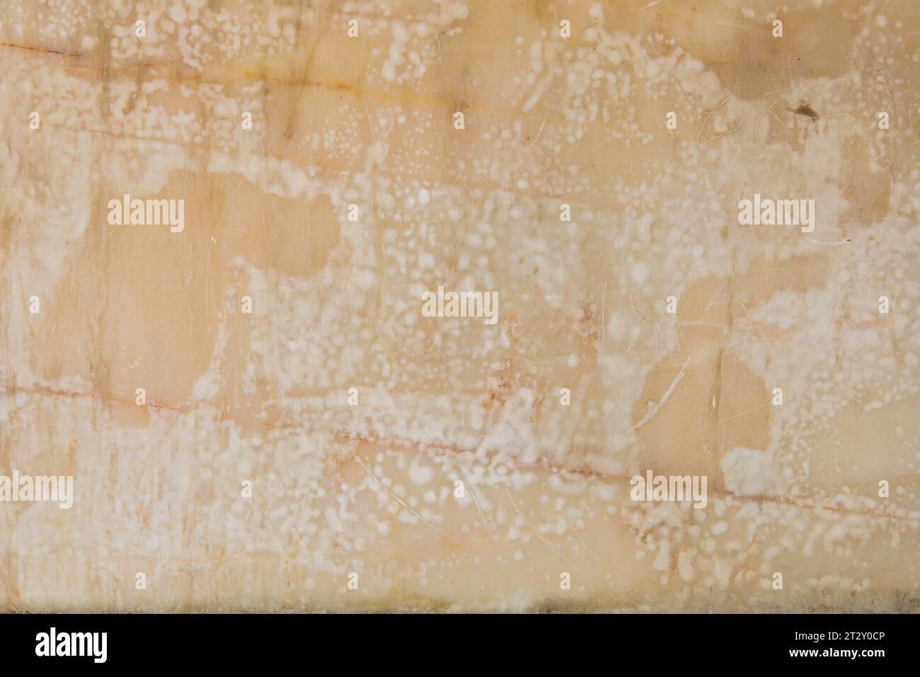 Foto pietra motivo venato utile come sfondo o texture Foto Stock