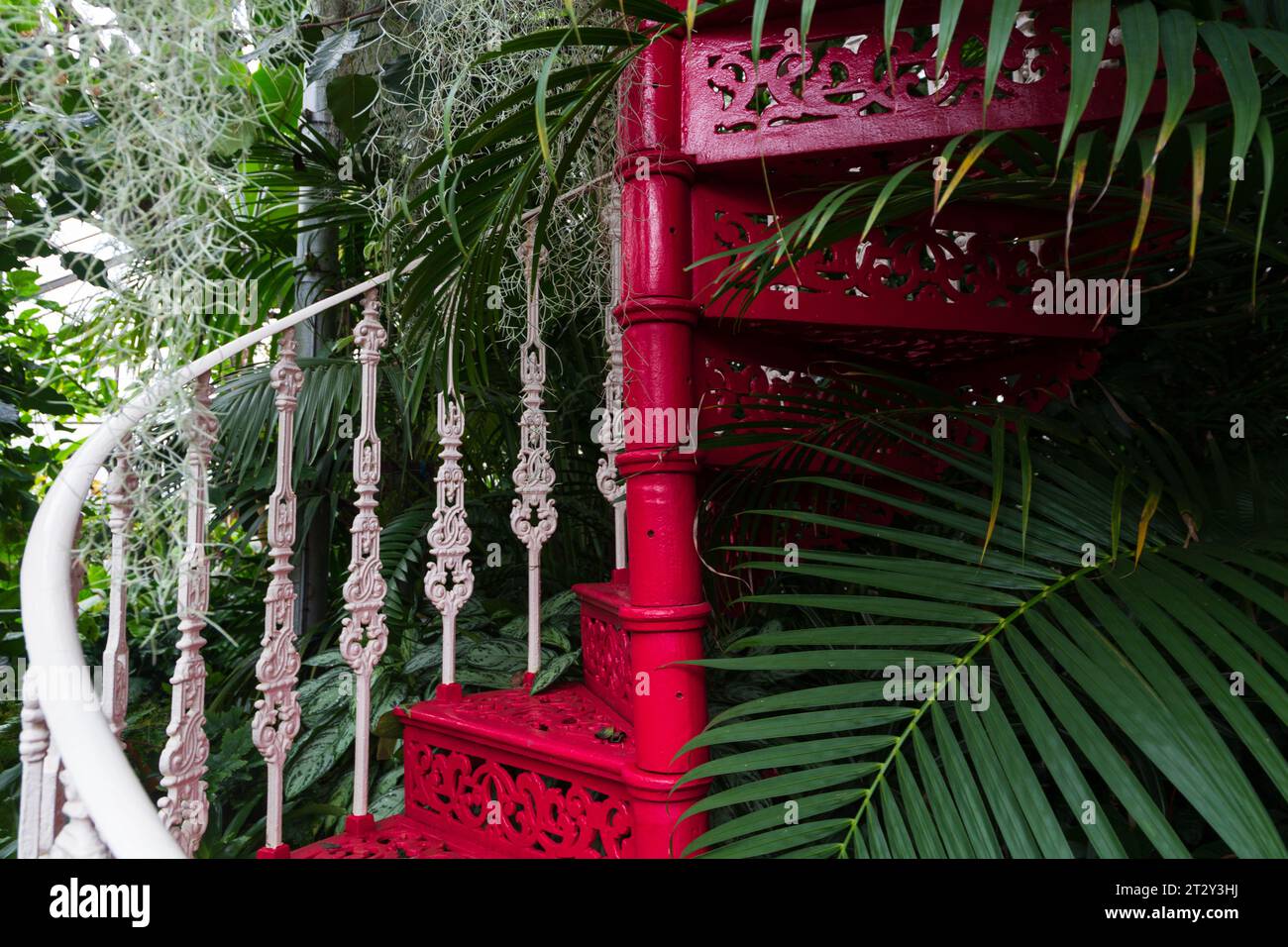 Dettagli all'interno di un giardino botanico del periodo vittoriano britannico Foto Stock