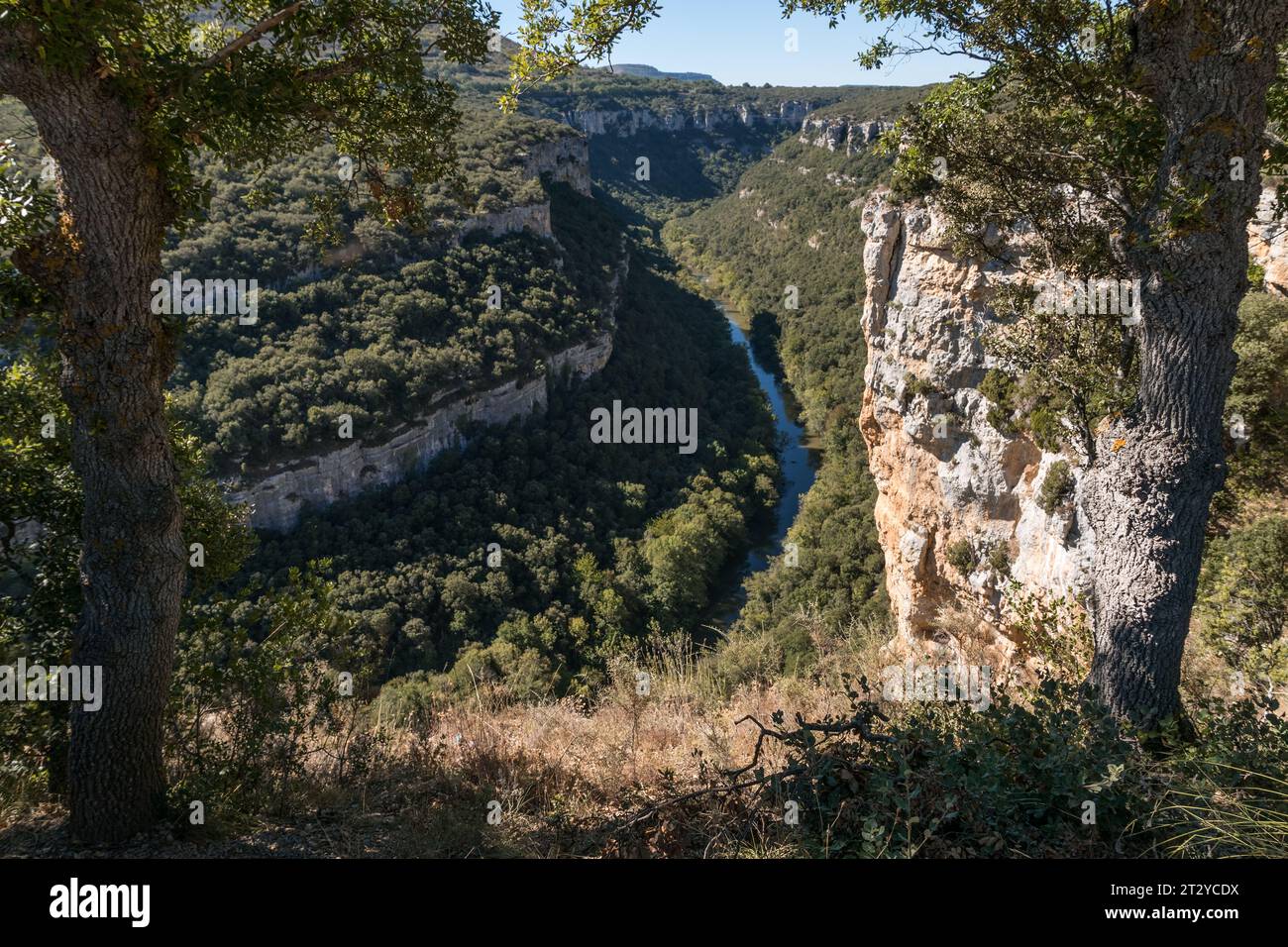 Vista aerea del canyon del fiume Ebro a Burgos, Castiglia e Leon, Spagna. Foto Stock